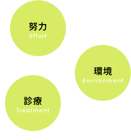 1.努力（Effort） 2.環境（Envirronment） 3.診療（Treatment）